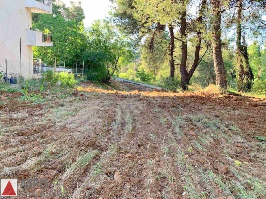(For Sale) Land Plot for development || East Attica/Rodopoli - 800 Sq.m, 500.000€