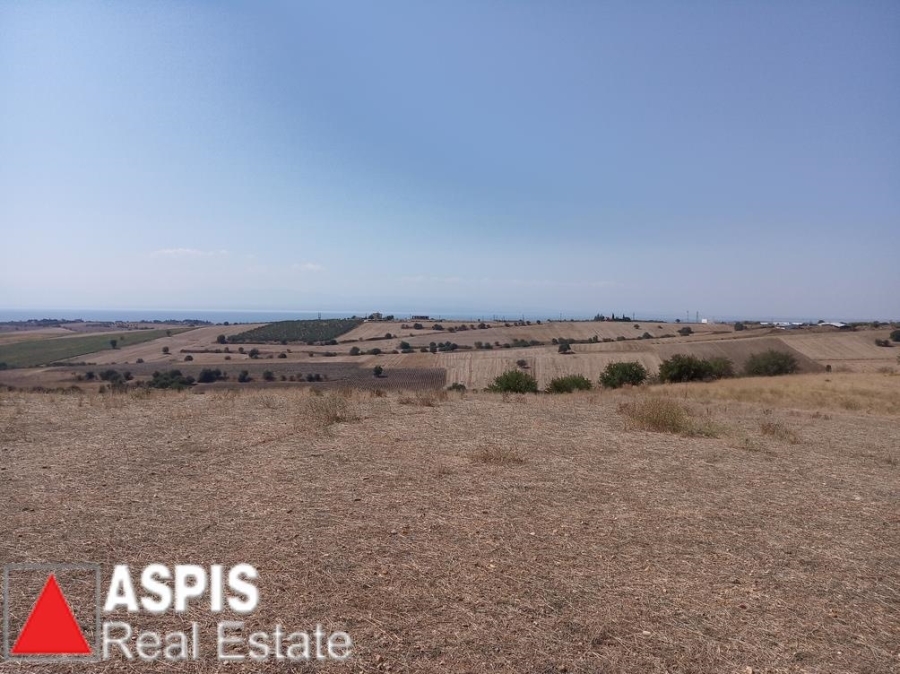 (For Sale) Land Agricultural Land  || Thessaloniki Suburbs/Epanomi - 10.000 Sq.m, 87.000€