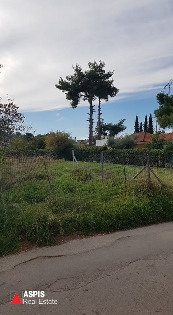 (For Sale) Land Plot || Voiotia/Oinofyta - 3.318 Sq.m, 140.000€