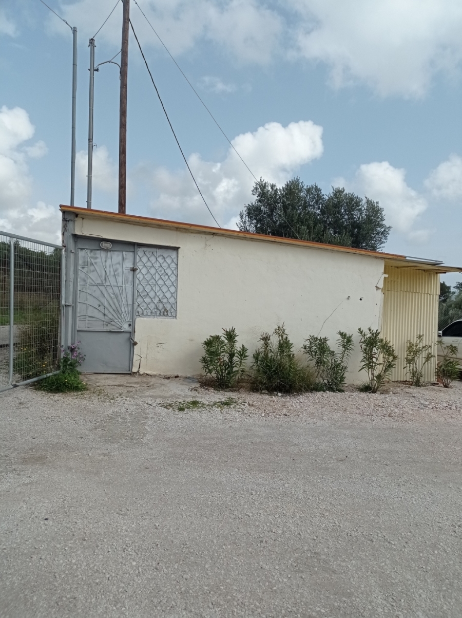 (For Rent) Land Plot out of City plans || East Attica/Spata - 2.000 Sq.m, 800€