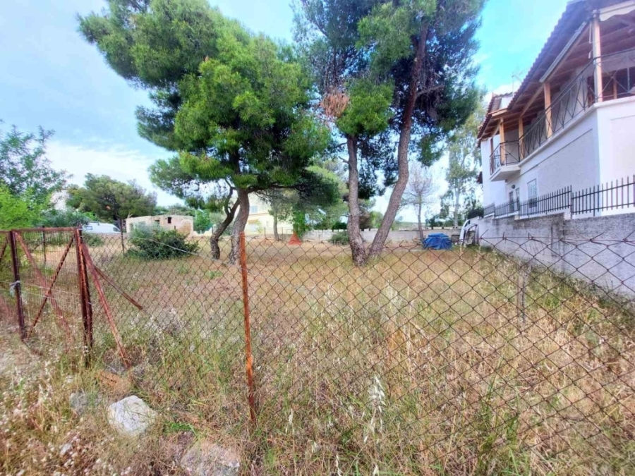 (For Sale) Land Plot || East Attica/Anthousa - 281 Sq.m, 100.000€