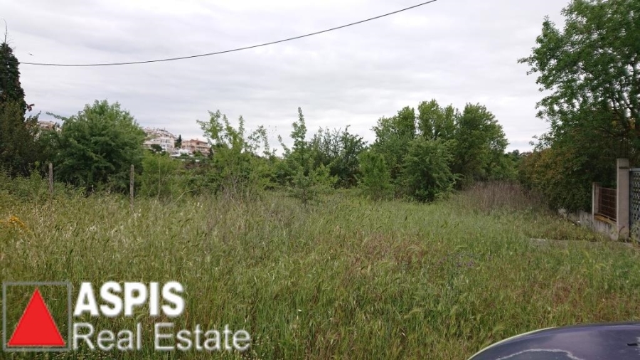 (For Sale) Land Agricultural Land  || Thessaloniki Suburbs/Pylaia - 6.137 Sq.m, 980.000€