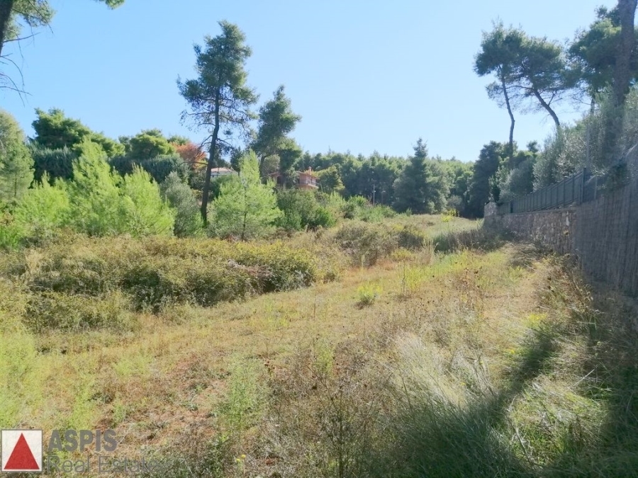 (For Sale) Land Plot for development || East Attica/Agios Stefanos - 1.700 Sq.m, 170.000€