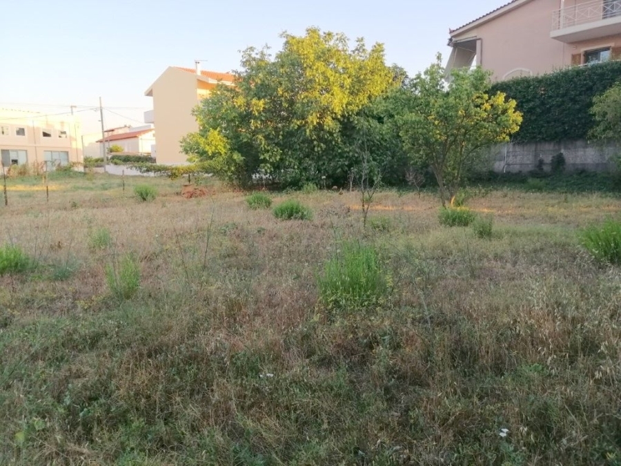 (For Sale) Land Plot for development || East Attica/Agios Stefanos - 1.000 Sq.m, 500.000€