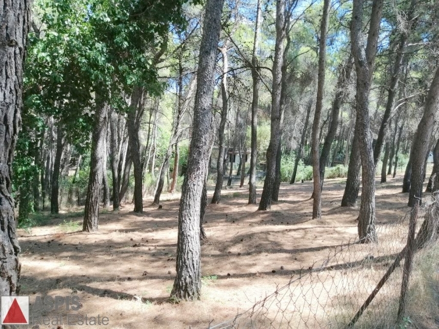 (For Sale) Land Plot out of City plans || East Attica/Anoixi - 733 Sq.m, 200.000€