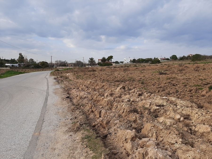 (For Sale) Land Agricultural Land  || East Attica/Rafina - 16.600 Sq.m, 485.000€