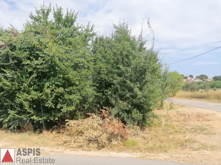 (For Sale) Land Plot out of City plans || East Attica/Agios Stefanos - 1.000 Sq.m, 100.000€