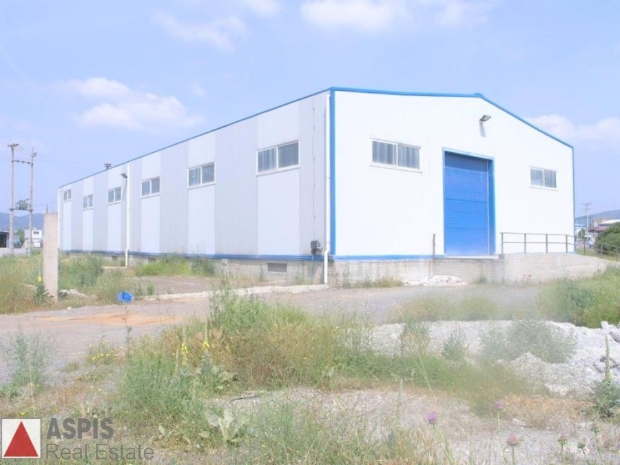 (For Sale) Commercial Industrial Area || Arkadia/Tripoli - 1.000 Sq.m, 650.000€