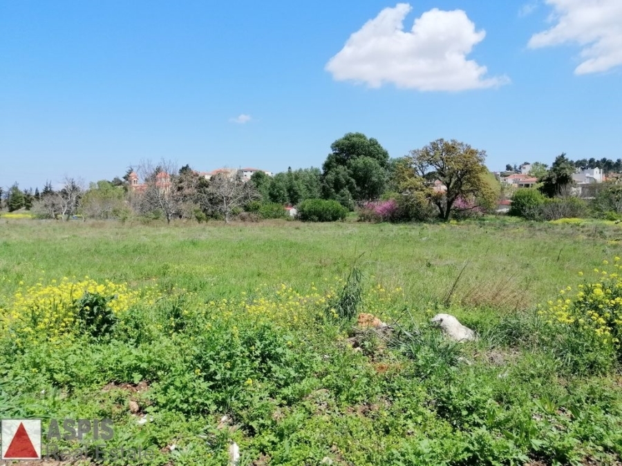 (For Sale) Land Plot out of City plans || East Attica/Stamata - 1.060 Sq.m, 52.000€