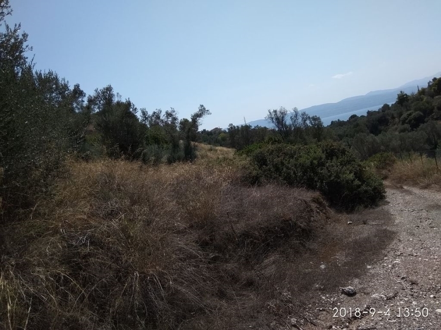 (For Sale) Land Agricultural Land  || Evoia/Amarynthos - 10.000 Sq.m, 45.000€