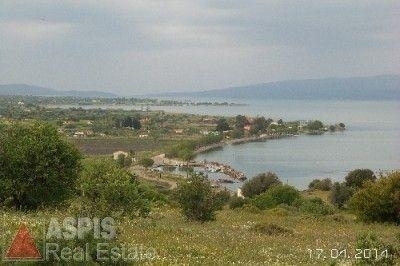 (For Sale) Land Plot || Lesvos/Polichnitos - 6.887 Sq.m, 8.000€
