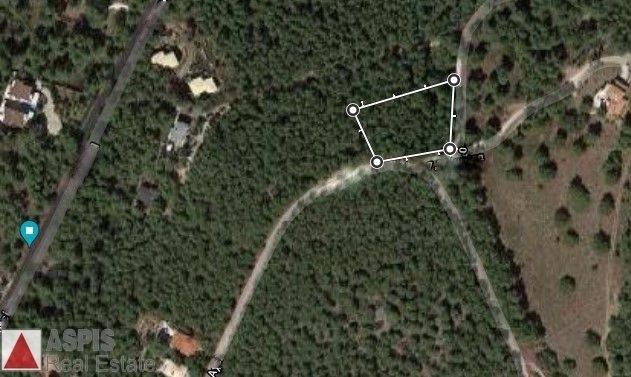(For Sale) Land Plot for development || East Attica/Afidnes (Kiourka) - 2.074 Sq.m, 90.000€