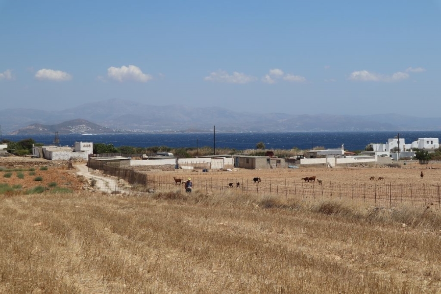 (For Sale) Land Plot || Cyclades/Paros - 8.618 Sq.m, 400.000€