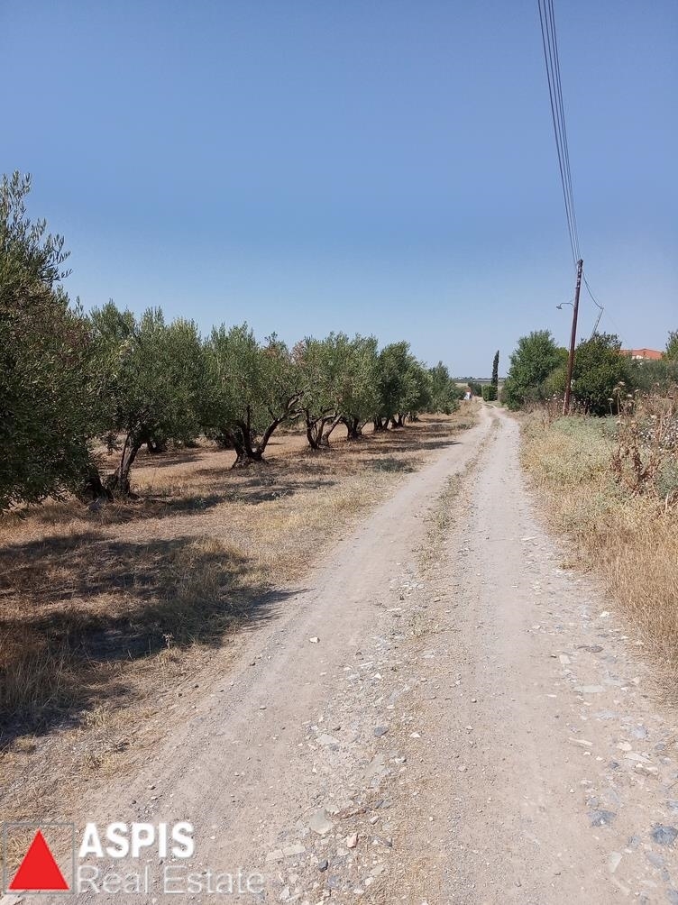 (For Sale) Land Agricultural Land  || Thessaloniki Suburbs/Epanomi - 1.100 Sq.m, 22.000€