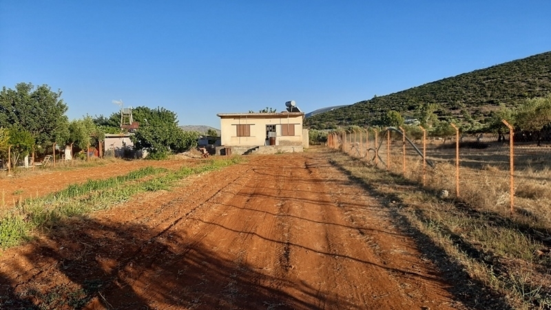 (For Sale) Land Agricultural Land  || East Attica/Koropi - 3.650 Sq.m, 130.000€