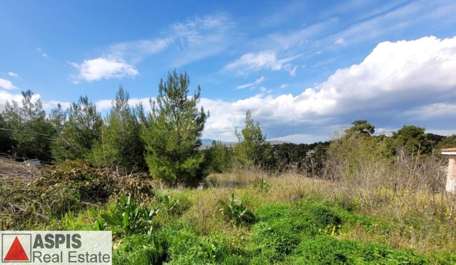 (For Sale) Land Plot for development || East Attica/Agios Stefanos - 1.900 Sq.m, 450.000€