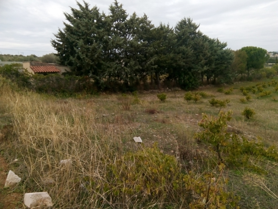 (For Sale) Land Agricultural Land  || East Attica/Markopoulo Mesogaias - 2.087 Sq.m, 40.000€
