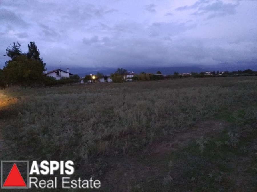 (For Sale) Land Agricultural Land  || Thessaloniki Suburbs/Thermi - 5.610 Sq.m, 150.000€