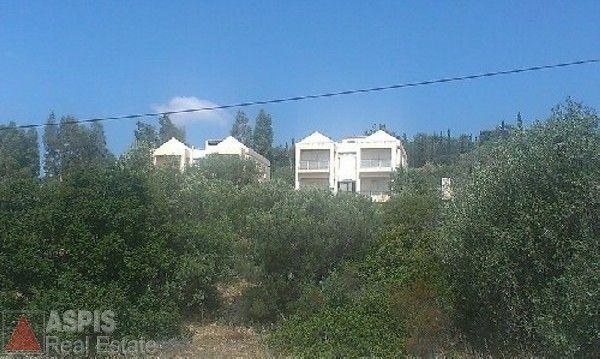 (For Sale) Residential Detached house || East Attica/Paiania - 518 Sq.m, 4 Bedrooms, 600.000€