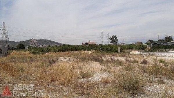 (For Sale) Land Plot for development || East Attica/Pallini - 1.464 Sq.m, 700.000€