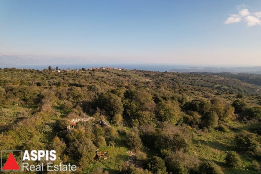 (For Sale) Land Large Land  || Messinia/Petalidi - 41.262 Sq.m, 450.000€