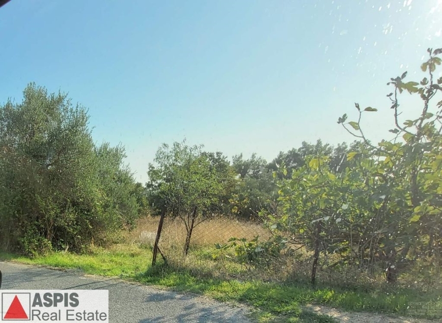 (For Sale) Land Plot out of City plans || East Attica/Polidendri - 5.585 Sq.m, 100.000€