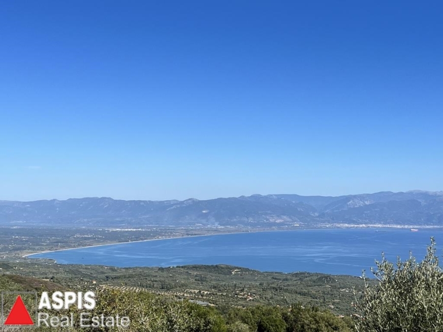 (For Sale) Land Agricultural Land  || Messinia/Petalidi - 21.000 Sq.m, 130.000€