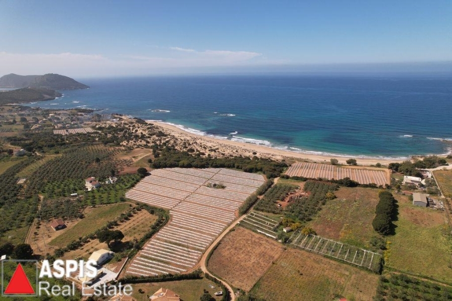 (For Sale) Land Plot || Messinia/Nestoras - 4.542 Sq.m, 270.000€