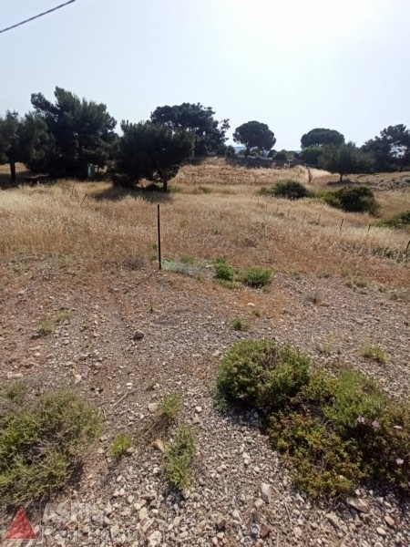 (For Sale) Land Agricultural Land  || Lesvos/Polichnitos - 2.237 Sq.m, 15.000€