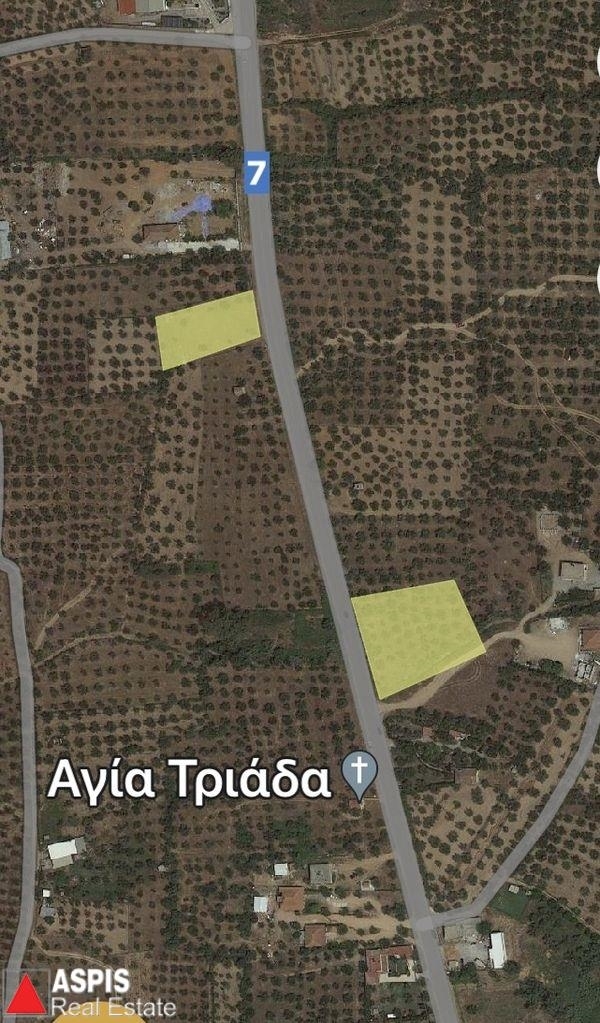 (For Sale) Land Agricultural Land  || Messinia/Arios - 3.155 Sq.m, 70.000€