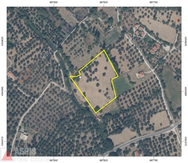 (For Sale) Land Plot || Lesvos/Petra - 11.250 Sq.m, 60.000€