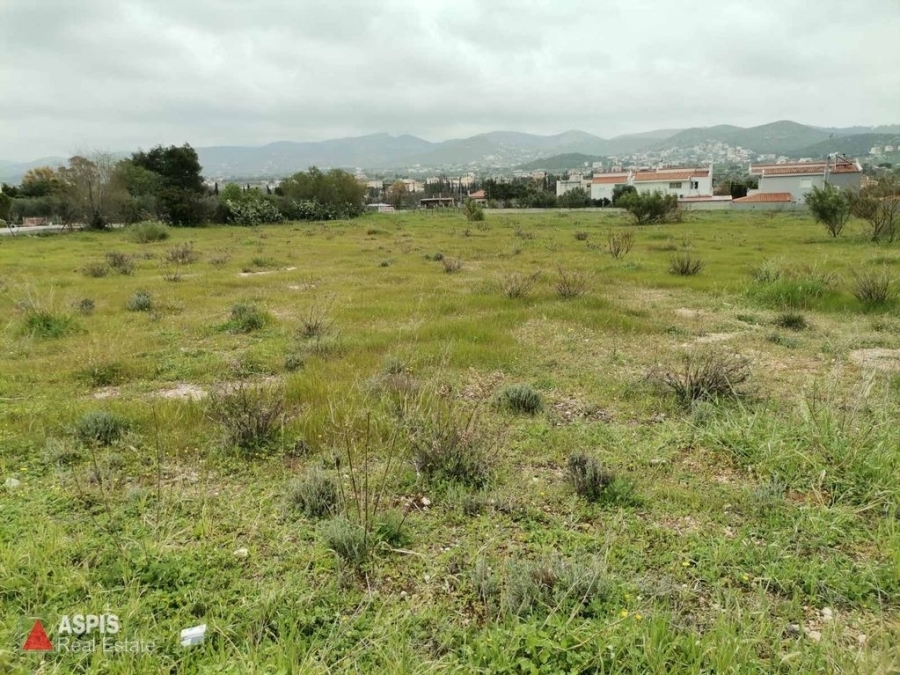 (For Sale) Land Plot || East Attica/Anavyssos - 5.500 Sq.m, 300.000€