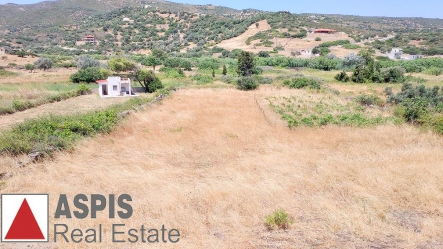 (For Sale) Land Plot out of City plans || Evoia/Distos - 1.227 Sq.m, 60.000€
