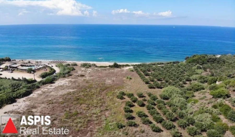 (For Sale) Land Plot || Messinia/Gargalianoi - 43.000 Sq.m, 8.600.000€