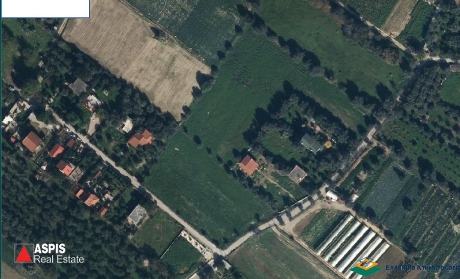 (For Sale) Land Agricultural Land  || Evoia/Lilantio - 5.627 Sq.m, 40.000€