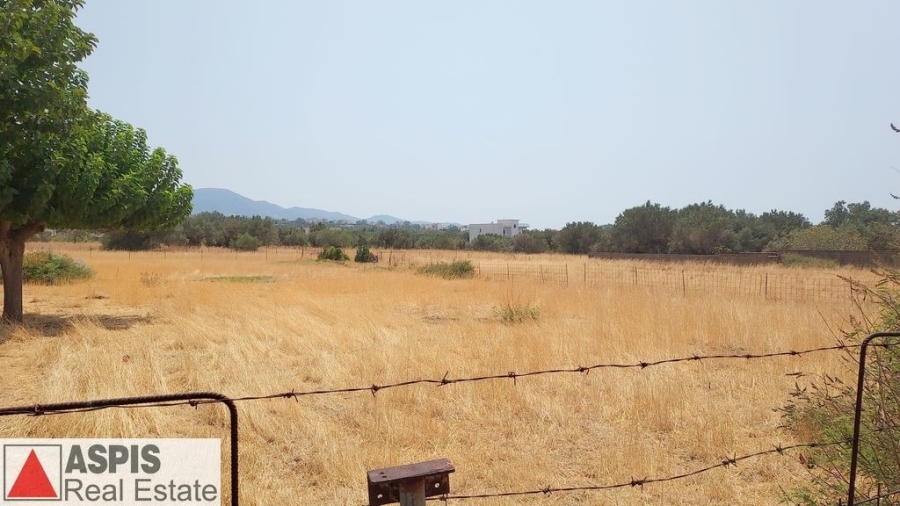 (For Sale) Land Plot out of City plans || Evoia/Karystos - 5.530 Sq.m, 280.000€