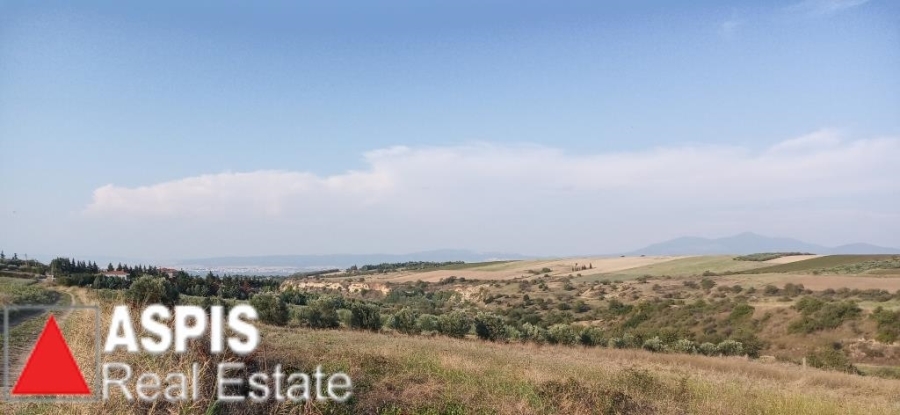 (For Sale) Land Agricultural Land  || Thessaloniki Suburbs/Thermaikos - 6.000 Sq.m, 170.000€