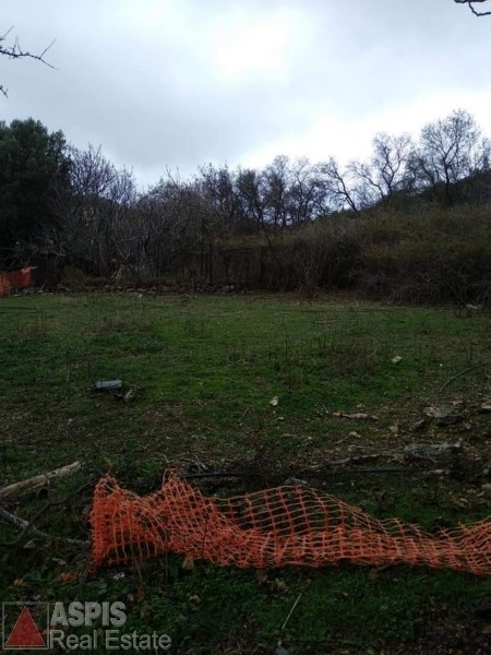 (For Sale) Land Plot wIthin Settlement || Lesvos/Plomari - 1.084 Sq.m, 35.000€