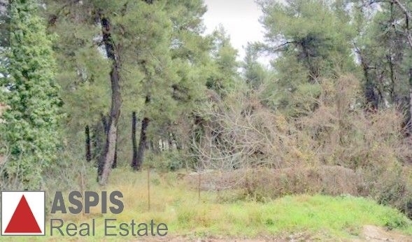 (For Sale) Land Plot for development || East Attica/Drosia - 627 Sq.m, 320.000€