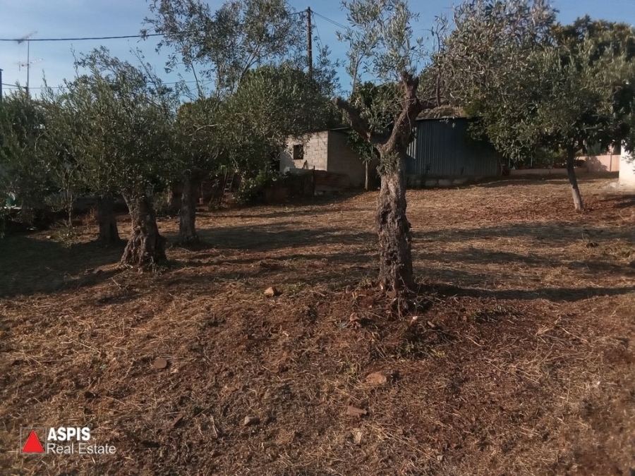 (For Sale) Land Plot wIthin Settlement || Voiotia/Thiva - 866 Sq.m, 45.000€