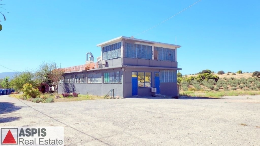 (For Sale) Commercial Industrial Area || Voiotia/Oinofyta - 1.800 Sq.m, 550.000€