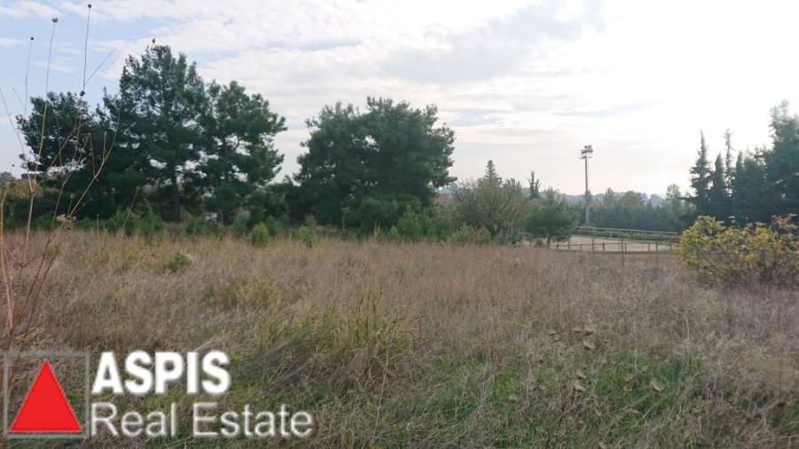 (For Sale) Land Agricultural Land  || Thessaloniki Suburbs/Pylaia - 4.463 Sq.m, 500.000€