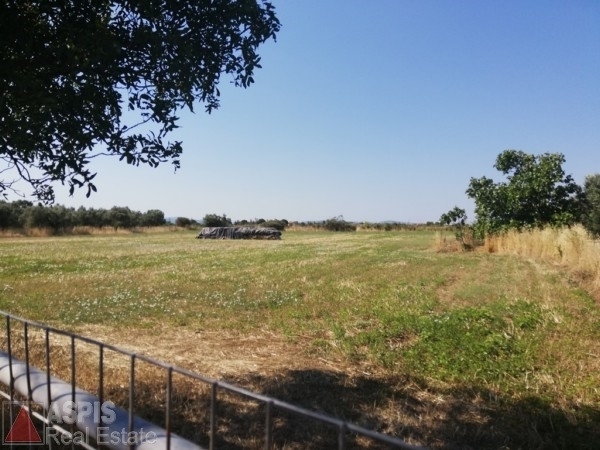 (For Sale) Land Plot || Lesvos/Kalloni - 5.589 Sq.m, 50.000€