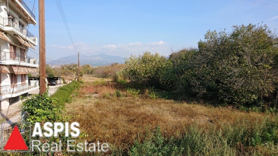 (For Sale) Land Agricultural Land  || Thessaloniki Suburbs/Pylaia - 4.046 Sq.m, 1.400.000€