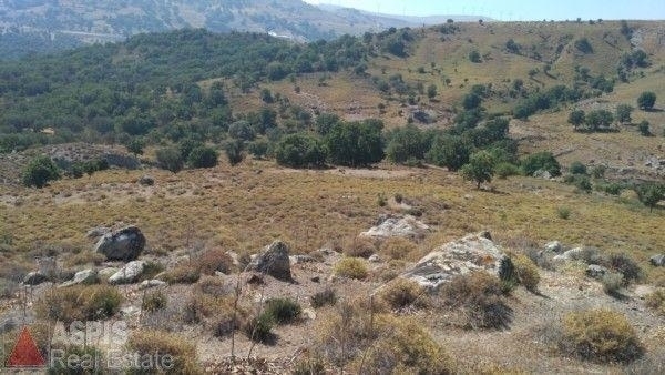 (For Sale) Land Agricultural Land  || Lesvos/Eresos - 67.000 Sq.m, 25.000€