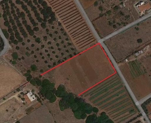(For Sale) Land Plot || Chania/Akrotiri - 5.777 Sq.m, 250.000€