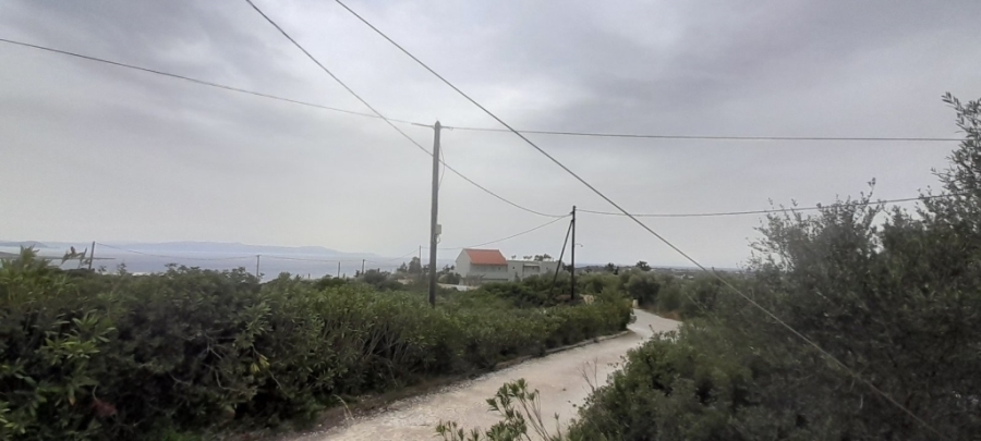 (For Sale) Land Agricultural Land  || Chania/Akrotiri - 1.250 Sq.m, 32.000€