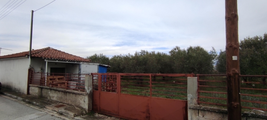 (For Sale) Land Agricultural Land  || Drama/Doxato - 45 Sq.m, 30.000€