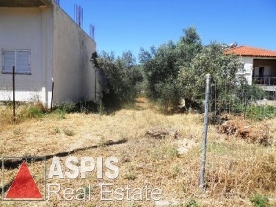 (For Sale) Land Plot for development ||  West Attica/Fyli - 350 Sq.m, 70.000€