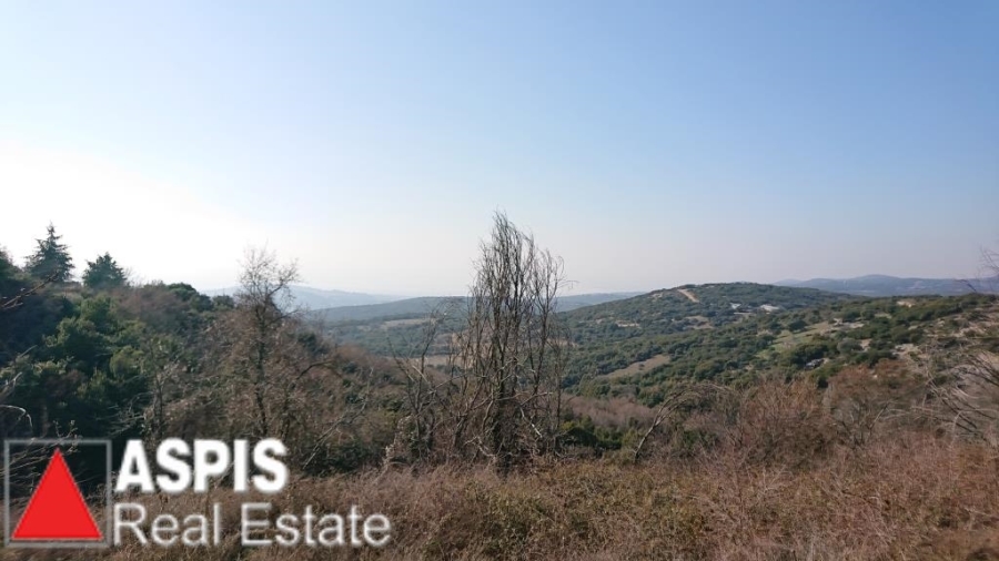 (For Sale) Land Agricultural Land  || Thessaloniki Suburbs/Chortiatis - 5.203 Sq.m, 300.000€